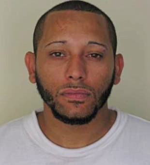 Pinto Santos - Hillsborough County, FL 
