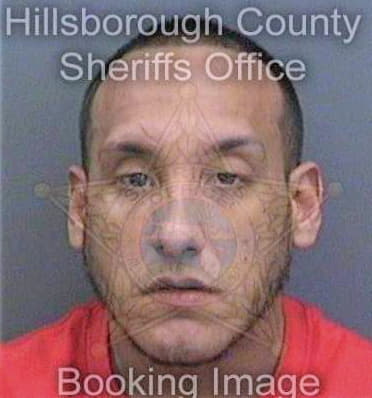 Chaparro Tomas - Hillsborough County, FL 