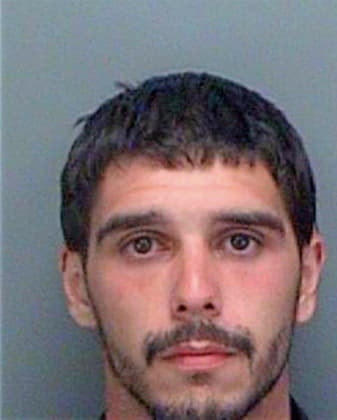 Lofrisco Anthony - Pinellas County, FL 