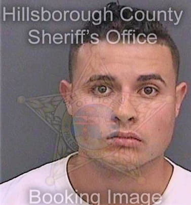 Hernandez Christian - Hillsborough County, FL 