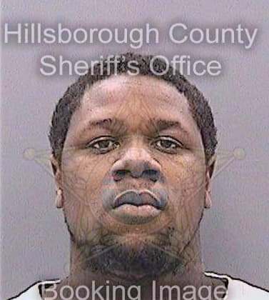 Anderson Denarick - Hillsborough County, FL 