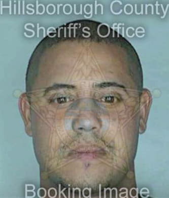 Hernandez Dennis - Hillsborough County, FL 