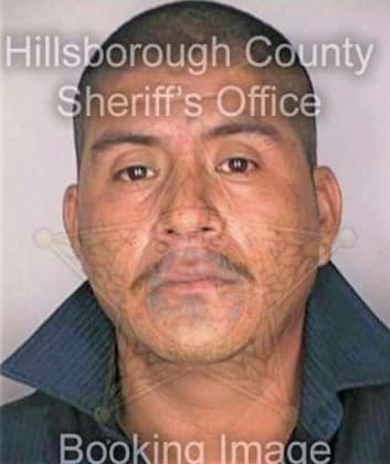 Perez Fransico - Hillsborough County, FL 