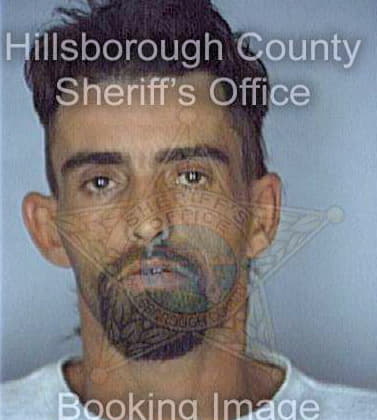 Tellier Henry - Hillsborough County, FL 