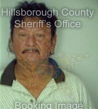 Velasquez Samuel - Hillsborough County, FL 