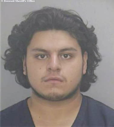 Arellano Alexis - Broward County, FL 