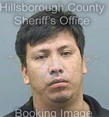 Calvohernandez Francisco - Hillsborough County, FL 
