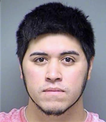 Alquinson Gregorio - Denton County, TX 