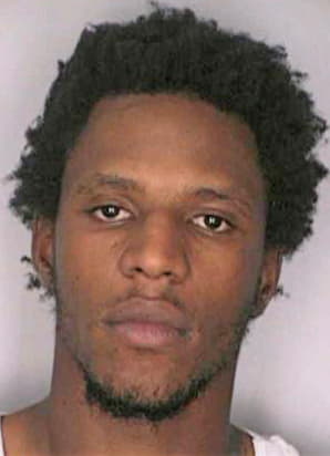 Lee Jerrod - Hillsborough County, FL 
