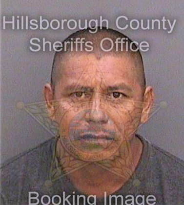 Vazquezcordova Miller - Hillsborough County, FL 