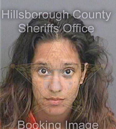 Torres Monica - Hillsborough County, FL 