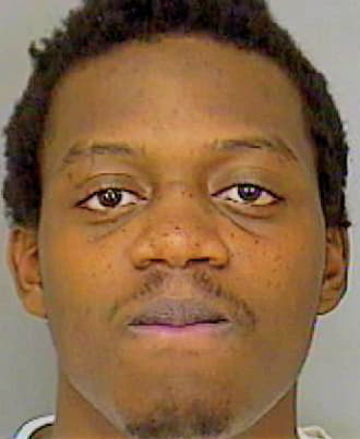 Johnson Shannon - Polk County, FL 