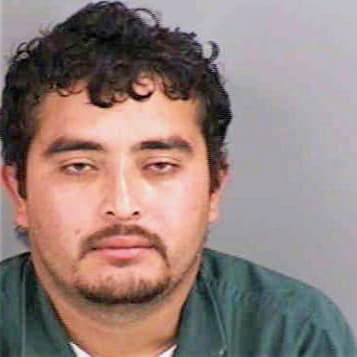 Hernandez Gabriel - Collier County, FL 