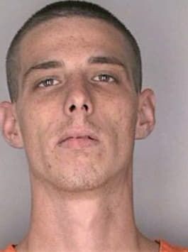 Holley James - Hillsborough County, FL 