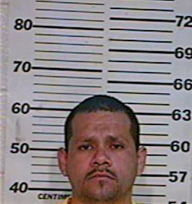 Garza Jose - Hidalgo County, TX 