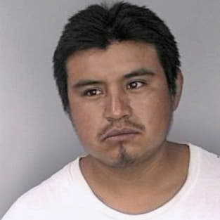Hernandezguzman Juan - Hillsborough County, FL 