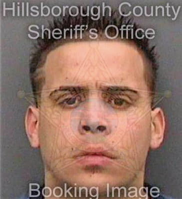 Perez Emelio - Hillsborough County, FL 