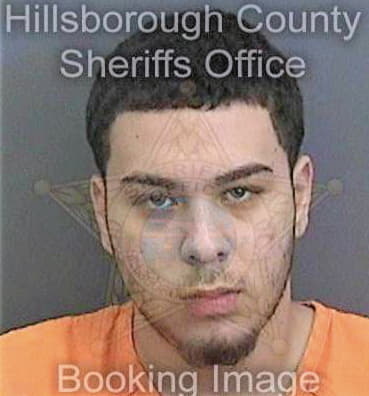 Arocha Francisco - Hillsborough County, FL 