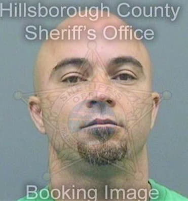 Negron Frankie - Hillsborough County, FL 