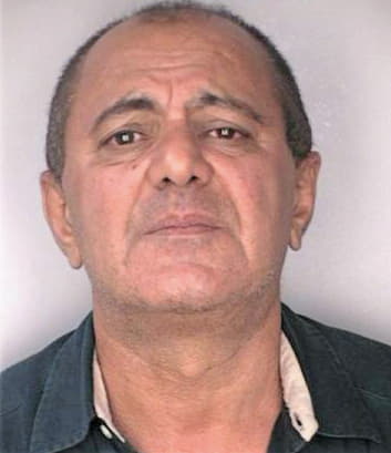 Shirohammad Iradj - Hillsborough County, FL 