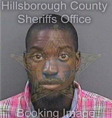 Rogers James - Hillsborough County, FL 