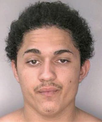 Agosto Luis - Hillsborough County, FL 