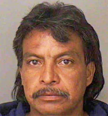 Guerrero Raul - Polk County, FL 