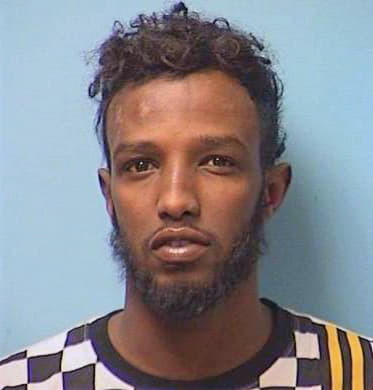 Ahmed Sahal - Stearns County, MN 