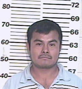 Hernandez Daniel - Hidalgo County, TX 
