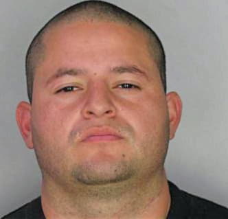 Meza David - Hillsborough County, FL 