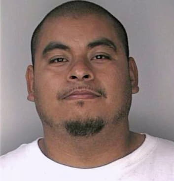 Flores Guillermo - Hillsborough County, FL 