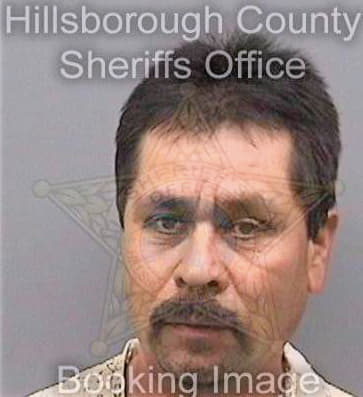 Hernandezhernandez Manuel - Hillsborough County, FL 
