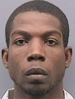 Levy Erik - Hillsborough County, FL 