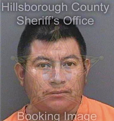 Ramirez Esteban - Hillsborough County, FL 