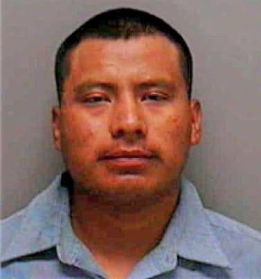 Mejia-Castro Juan - Lee County, FL 