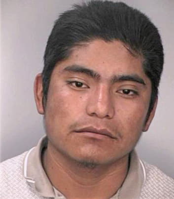 Ramirez Pedro - Hillsborough County, FL 