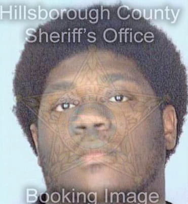 Ingram Torrie - Hillsborough County, FL 
