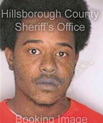 Hampton Bryan - Hillsborough County, FL 