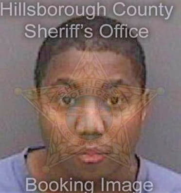 Bruce Demario - Hillsborough County, FL 