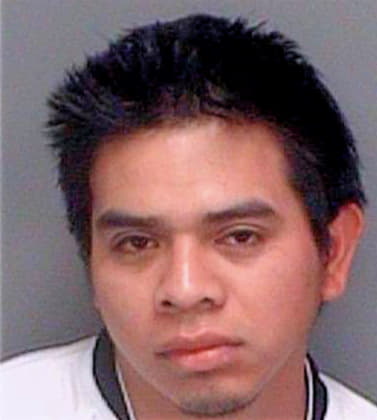 Gomez Wilder - Pinellas County, FL 