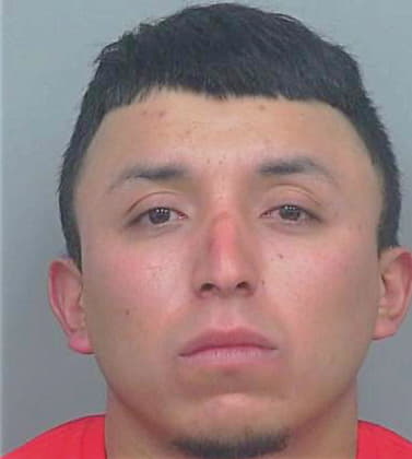 Silva-Garza Antonio - Gwinnett County, GA 