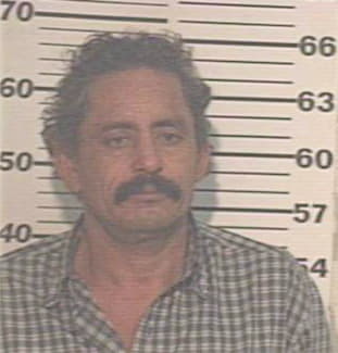 Arellano Jesus - Hidalgo County, TX 