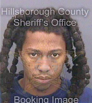 Dumervil Michael - Hillsborough County, FL 