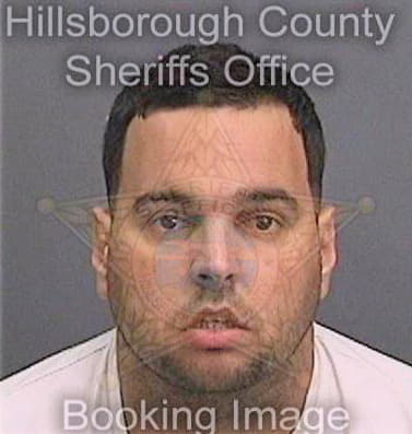 Oliva Alexandre - Hillsborough County, FL 
