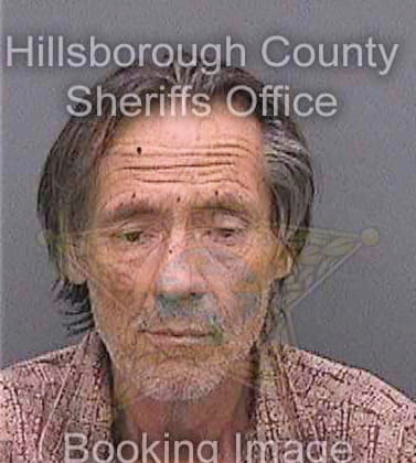 Dishman Mark - Hillsborough County, FL 