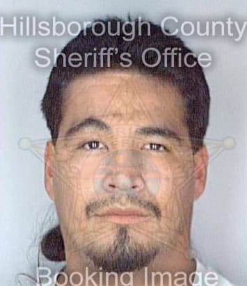 Ochoa Oscar - Hillsborough County, FL 