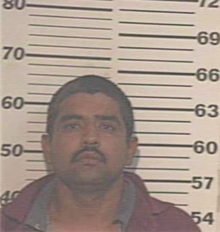 Arrellano Carlos - Hidalgo County, TX 