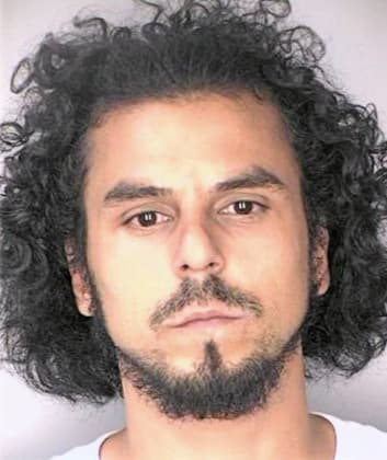 Mcnally Eduardo - Hillsborough County, FL 