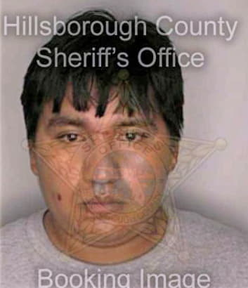 Ramirez Ernesto - Hillsborough County, FL 