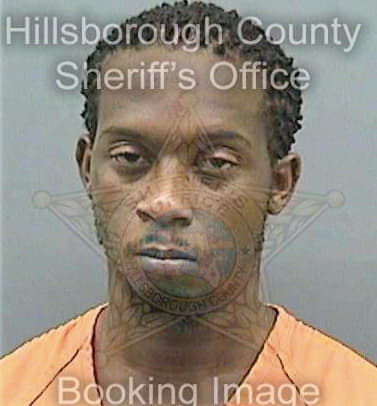 Gibson Johntel - Hillsborough County, FL 